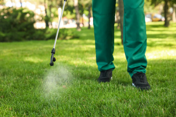 Best Local Pest Control Services  in Bronson, MI